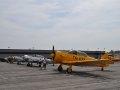  T-6 Texan Trainer Aircraft