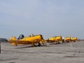 4 North American Aviation Harvard CHAA Trainer's
