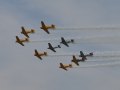 9 T-6 Trainer Aircraft in Formation