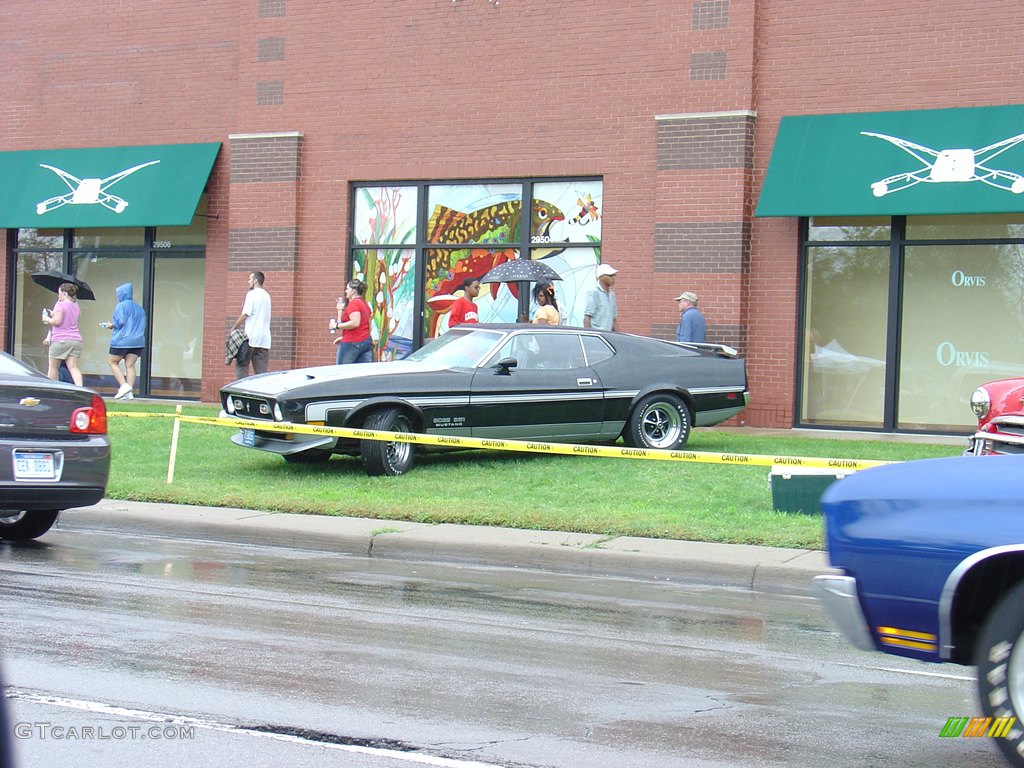 The Woodward Dream Cruise "On the Street" photo #35177274