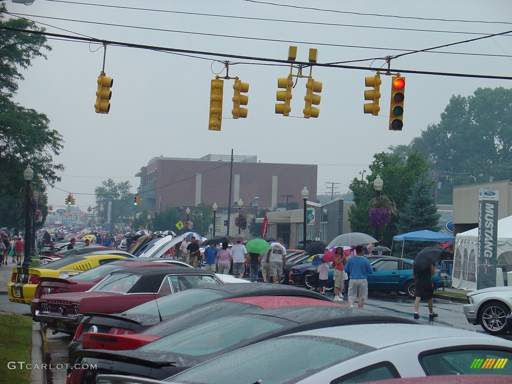 Looking back from near the end of Mustang Alley on East 9 Mile.