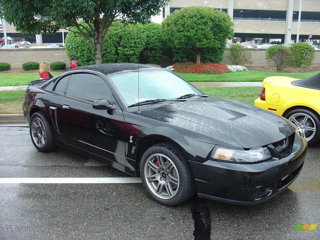 2003 SVT 10th Anniversary Ford Mustang SVT Cobra