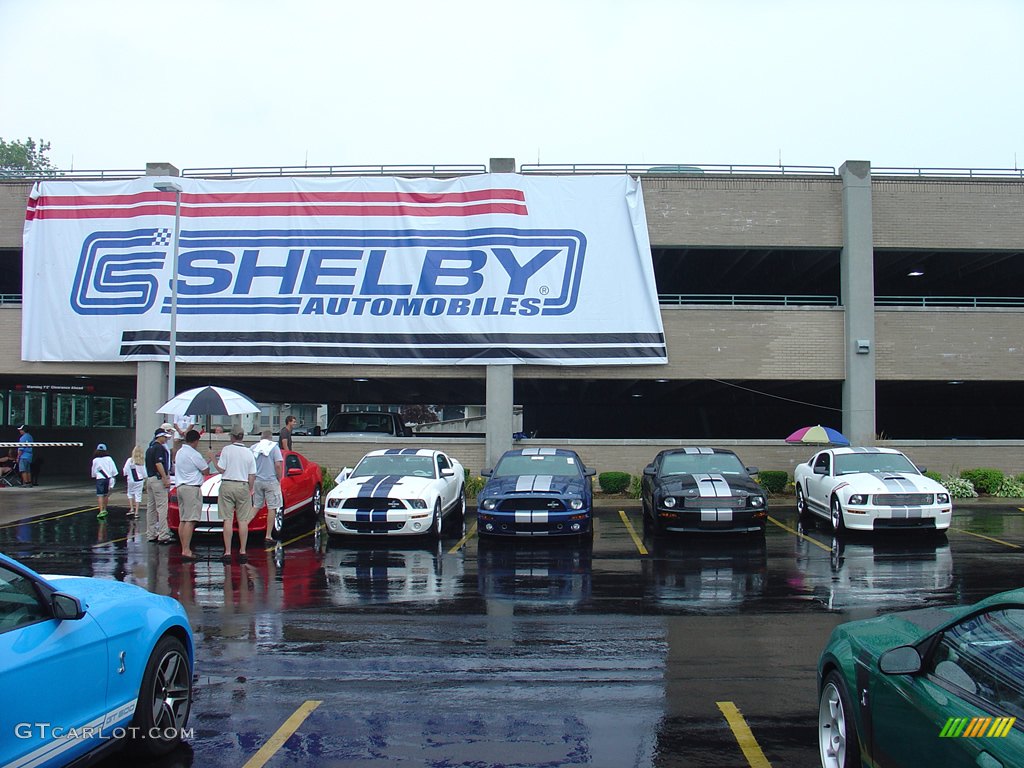 Ford Mustang Shelby GT500s in every color