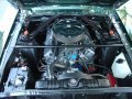 Ford 5.0 Liter small block V8