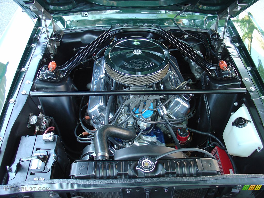 Ford 5.0 Liter small block V8