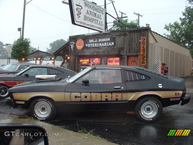 1978 Ford Mustang Cobra II