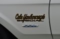 Cale Yarborough Special Graphic