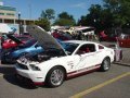 Mustang by Silver Horse Racing