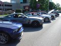 Mustang Alley 2012